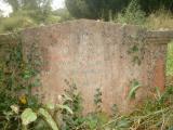 image of grave number 259045